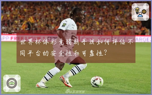 世界杯体彩竞猜新手该如何评估不同平台的安全性和可靠性？