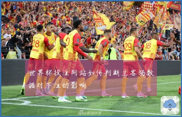 世界杯投注网站如何判断主客场数据对下注的影响