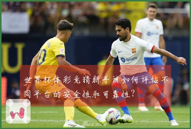 世界杯体彩竞猜新手该如何评估不同平台的安全性和可靠性?